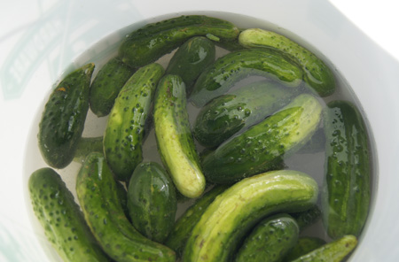 cucumbers in brine