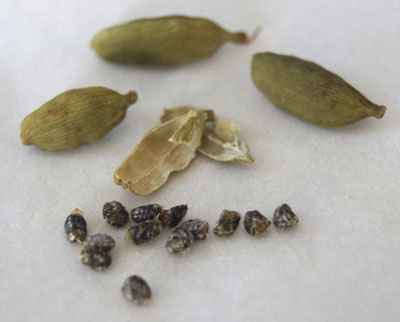 cardamom pods and seeds