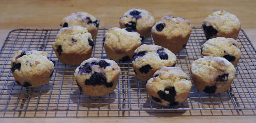 Blueberry Muffins