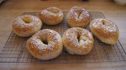 NY bagels