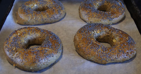 Oat Pumpkin Seed Bagels