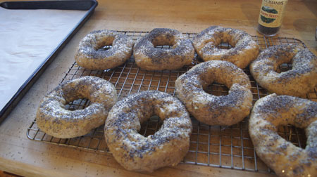 bagels ready for the oven