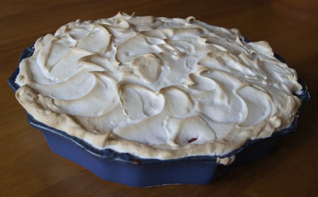 Strawberry Rhubarb Dessert Pie