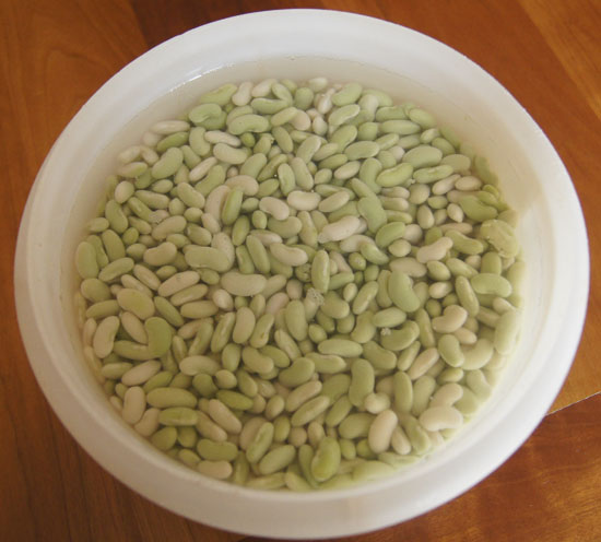 flageolet beans