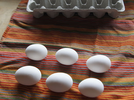 eggs on cloth