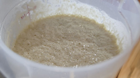 yeast mixture