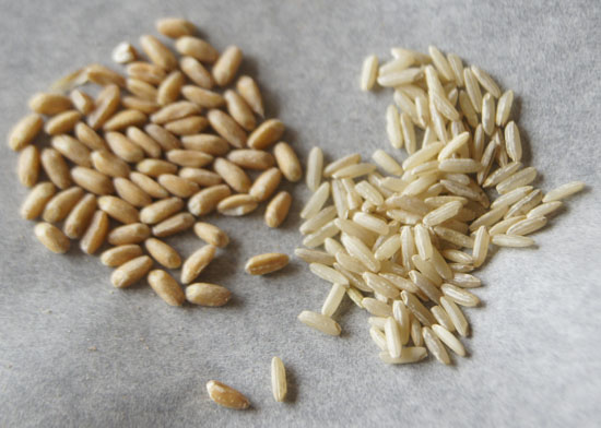 farro and rice