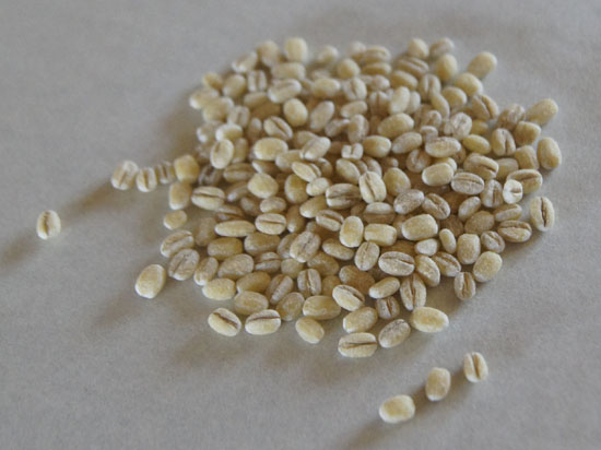 pearl barley